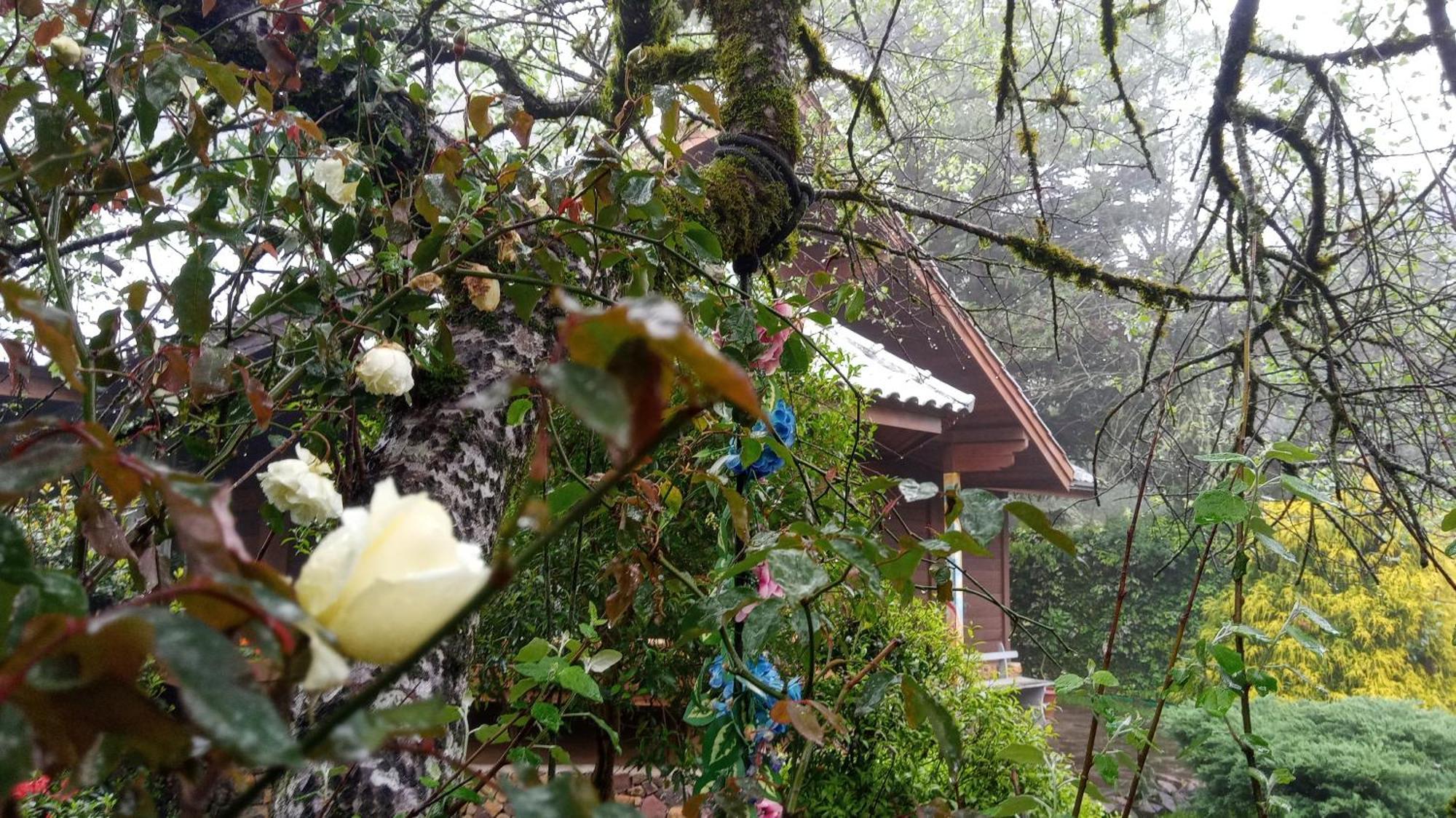 Chale Martinho Villa Gramado Exterior foto
