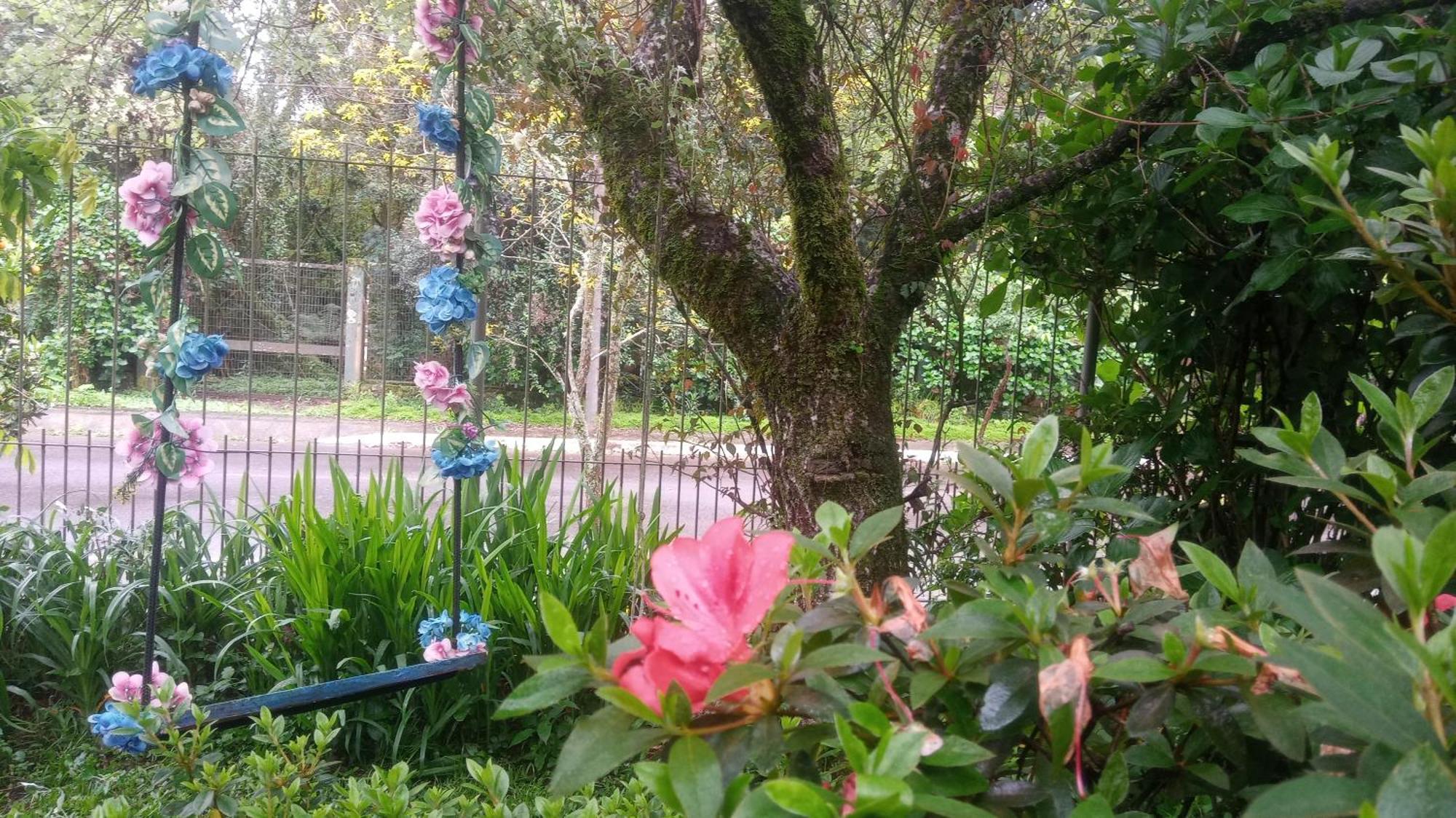 Chale Martinho Villa Gramado Exterior foto