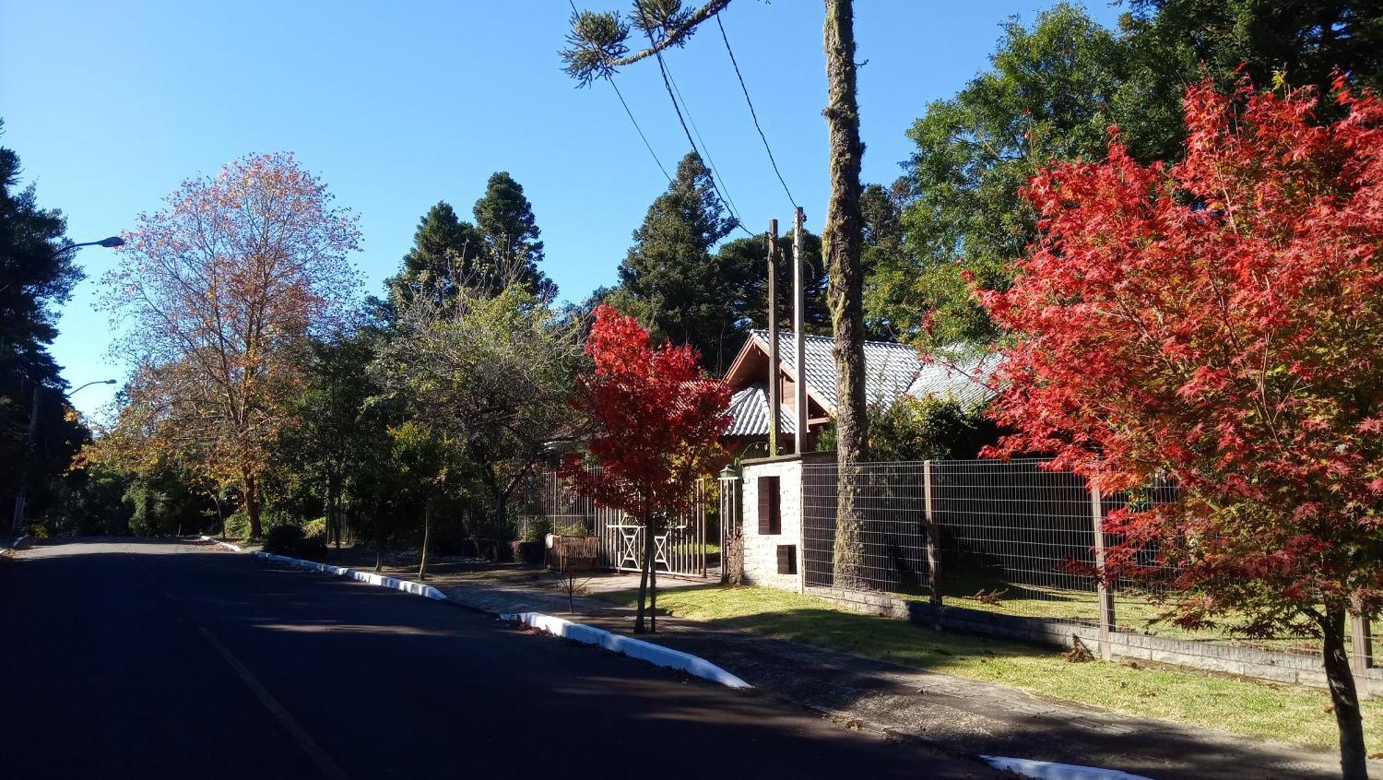 Chale Martinho Villa Gramado Exterior foto